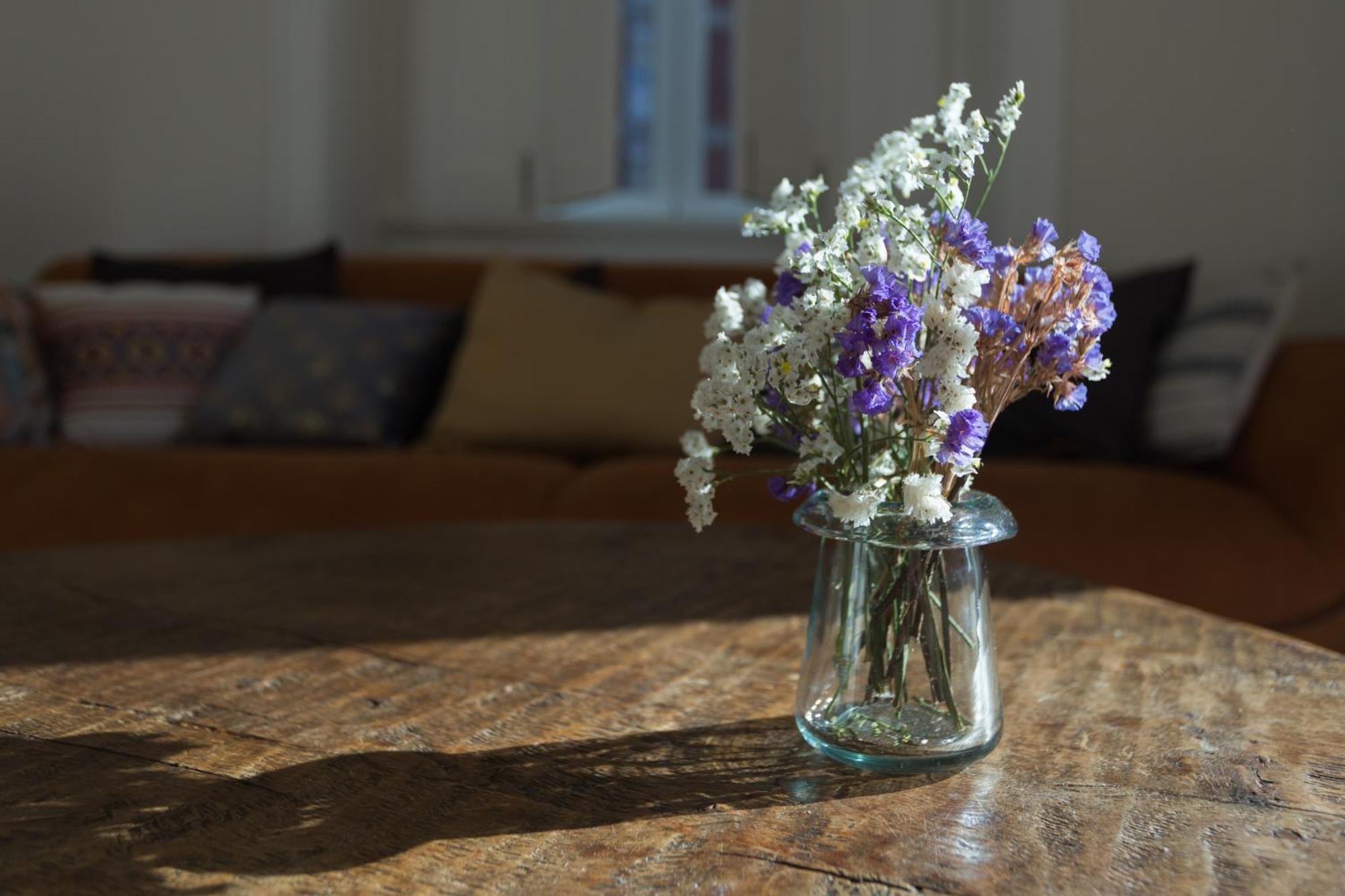 קוימברה Vila Julieta Guesthouse מראה חיצוני תמונה